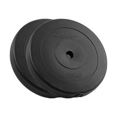 Bitumikiekot Rebel Active 2x15kg, 31mm reikä, klassinen kiekko hinta ja tiedot | Muut urheiluvälineet | hobbyhall.fi