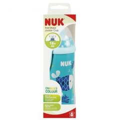 NUK Junior Cup, sininen, 18+ kk, 300 ml hinta ja tiedot | Tuttipullot ja tarvikkeet | hobbyhall.fi