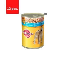 Pedigree Junior koiranruoka, kanalla, 400 g x 12 kpl hinta ja tiedot | Koiran märkäruoka | hobbyhall.fi