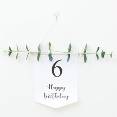 1-9th White Birthday Bunting Happy Birthday Banner Garland First-6th Banner hinta ja tiedot | Hauskat juhlapelit ja -tuotteet | hobbyhall.fi