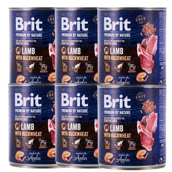 Brit Premium koiran ruoka, lammasta ja tattaria 800g x 6 kpl