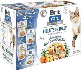 Brit kanahyytelöllä, 12x85 g hinta ja tiedot | Kissanruoka | hobbyhall.fi