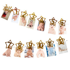 Vauvan 1. syntymäpäivän bannerit Poika Tyttö 12 kk Photo Bunting Baby Shower-1set banneri hinta ja tiedot | Hauskat juhlapelit ja -tuotteet | hobbyhall.fi