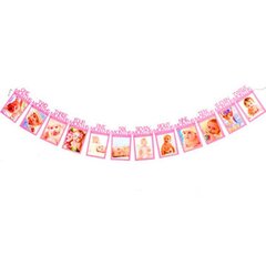 Vauvan syntymäpäiväbannerit 12 kuukauden valokuvasirkku Baby Shower Paperinpunainen hinta ja tiedot | Hauskat juhlapelit ja -tuotteet | hobbyhall.fi