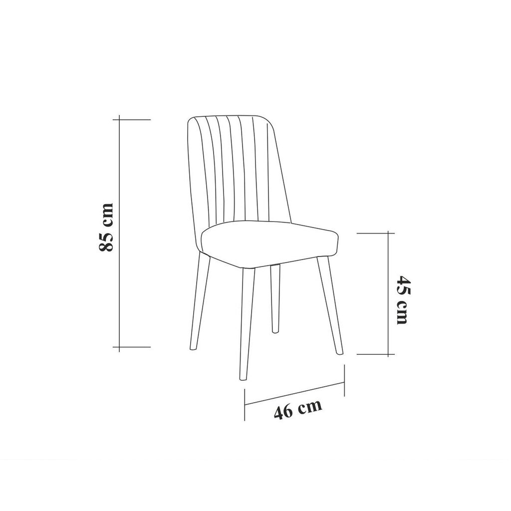 Ruokapöydän tuoli Kalune Design 869, harmaa hinta ja tiedot | Ruokapöydän tuolit | hobbyhall.fi