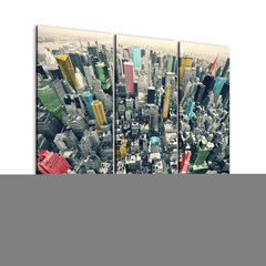 Kuva - New York, black&white&colors hinta ja tiedot | Taulut | hobbyhall.fi