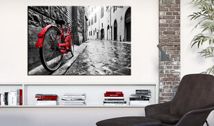 Kuva - Vintage Red Bike hinta ja tiedot | Taulut | hobbyhall.fi