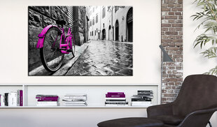 Kuva - Vintage Pink Bike hinta ja tiedot | Taulut | hobbyhall.fi