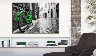 Kuva - Vintage Green Bike hinta ja tiedot | Taulut | hobbyhall.fi