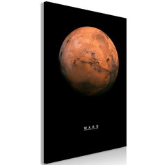 Kuva - Mars (1 Part) Vertical hinta ja tiedot | Taulut | hobbyhall.fi