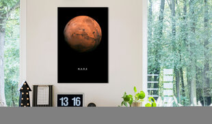 Kuva - Mars (1 Part) Vertical hinta ja tiedot | Taulut | hobbyhall.fi