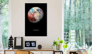 Kuva - Pluto (1 Part) Vertical hinta ja tiedot | Taulut | hobbyhall.fi