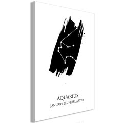 Kuva - Zodiac Signs: Aquarius (1 Part) Vertical hinta ja tiedot | Taulut | hobbyhall.fi