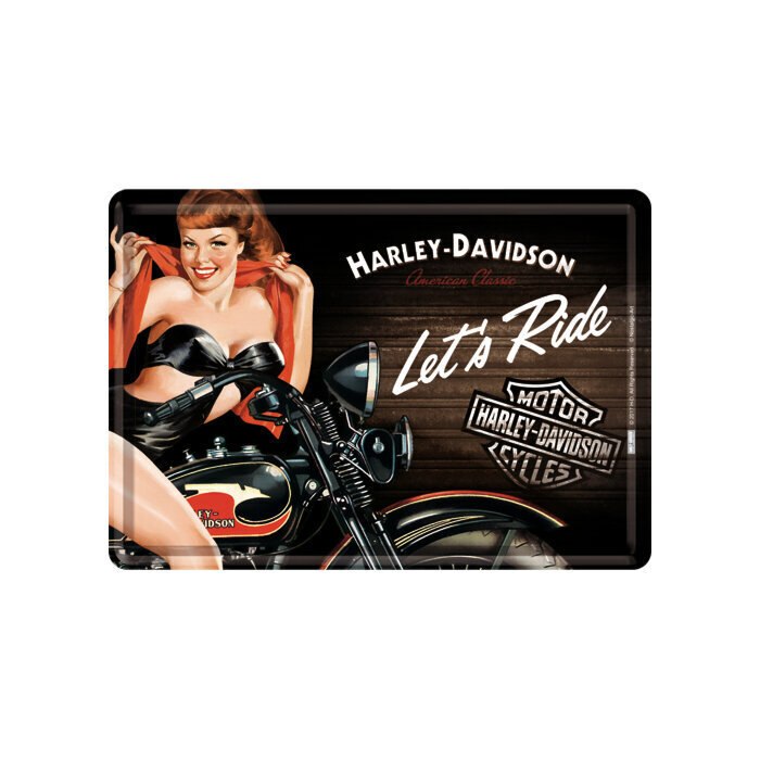 Postikortti, Harley Davidson Biker Babe hinta ja tiedot | Sisustustuotteet | hobbyhall.fi