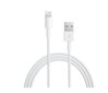 Apple Lightning to USB Cable (0.5m) - ME291ZM/A hinta ja tiedot | Puhelinkaapelit | hobbyhall.fi
