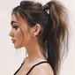 Naisten hiustarvikkeet Ponytail Clip Kiiltävä Shark Claw Clip hinta ja tiedot | Hiustarvikkeet | hobbyhall.fi