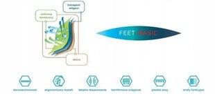 Universaalit sukat Feet Basic 39/41, siniset hinta ja tiedot | Muut urheiluvälineet | hobbyhall.fi