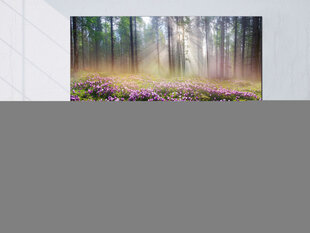 Kuva - Purple Meadow (1 Part) Wide hinta ja tiedot | Taulut | hobbyhall.fi