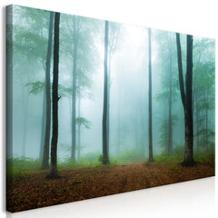 Kuva - Misty Morning (1 Part) Wide hinta ja tiedot | Taulut | hobbyhall.fi