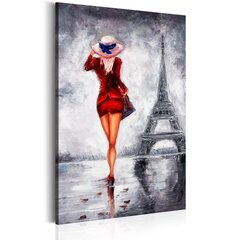 Kuva - Lady in Paris hinta ja tiedot | Taulut | hobbyhall.fi