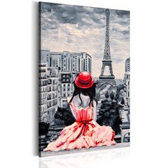 Kuva - Romantic Paris hinta ja tiedot | Taulut | hobbyhall.fi