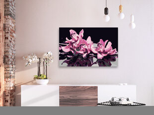DIY kangas maalaus - Pink Orchid (Black Background) hinta ja tiedot | Maalaa numeroiden mukaan | hobbyhall.fi