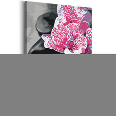 DIY kangas maalaus - Pink Orchid hinta ja tiedot | Artgeist Lapset | hobbyhall.fi