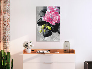 DIY kangas maalaus - Pink Orchid hinta ja tiedot | Artgeist Lapset | hobbyhall.fi