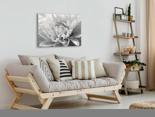 DIY kangas maalaus - Black & White Flower hinta ja tiedot | Artgeist Lapset | hobbyhall.fi