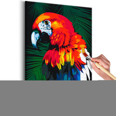 DIY kangas maalaus - Parrot hinta ja tiedot | Artgeist Lapset | hobbyhall.fi