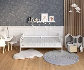 Tattari ja kookospähkinä patja lapsille MIKI DUMBO 90X190 hinta ja tiedot | Patjat | hobbyhall.fi