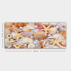 Valokuvataulu Seashells hinta ja tiedot | Taulut | hobbyhall.fi