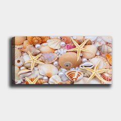 Valokuvataulu Seashells hinta ja tiedot | Taulut | hobbyhall.fi