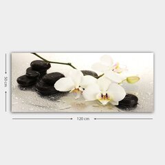 Taulu Orkidea hinta ja tiedot | Taulut | hobbyhall.fi