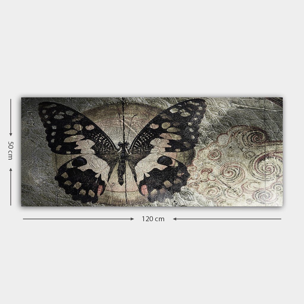 Taulu Perhonen, 50x120 cm hinta ja tiedot | Taulut | hobbyhall.fi