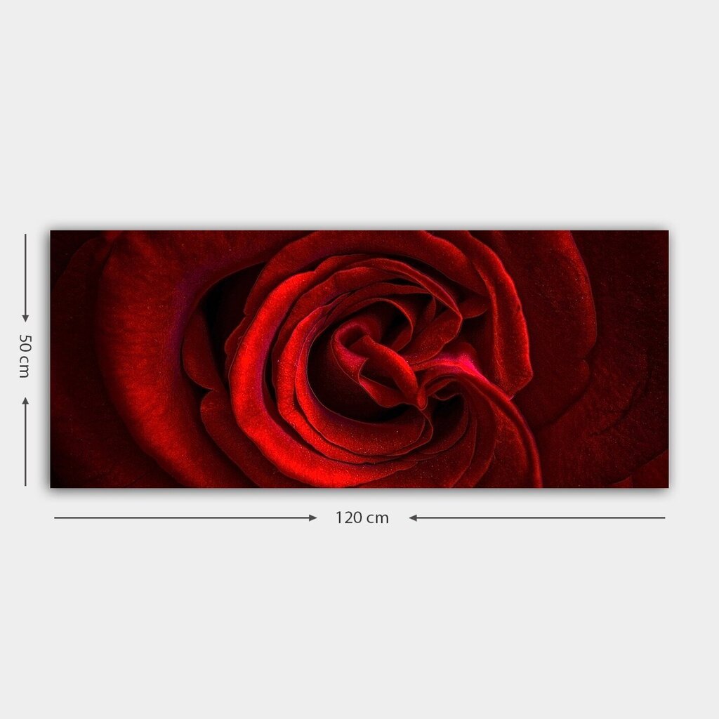 Taulu Ruusu, 50x120 cm hinta ja tiedot | Taulut | hobbyhall.fi