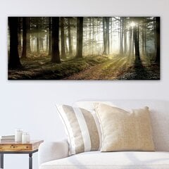 Taulu Metsä, 50x120 cm hinta ja tiedot | Taulut | hobbyhall.fi