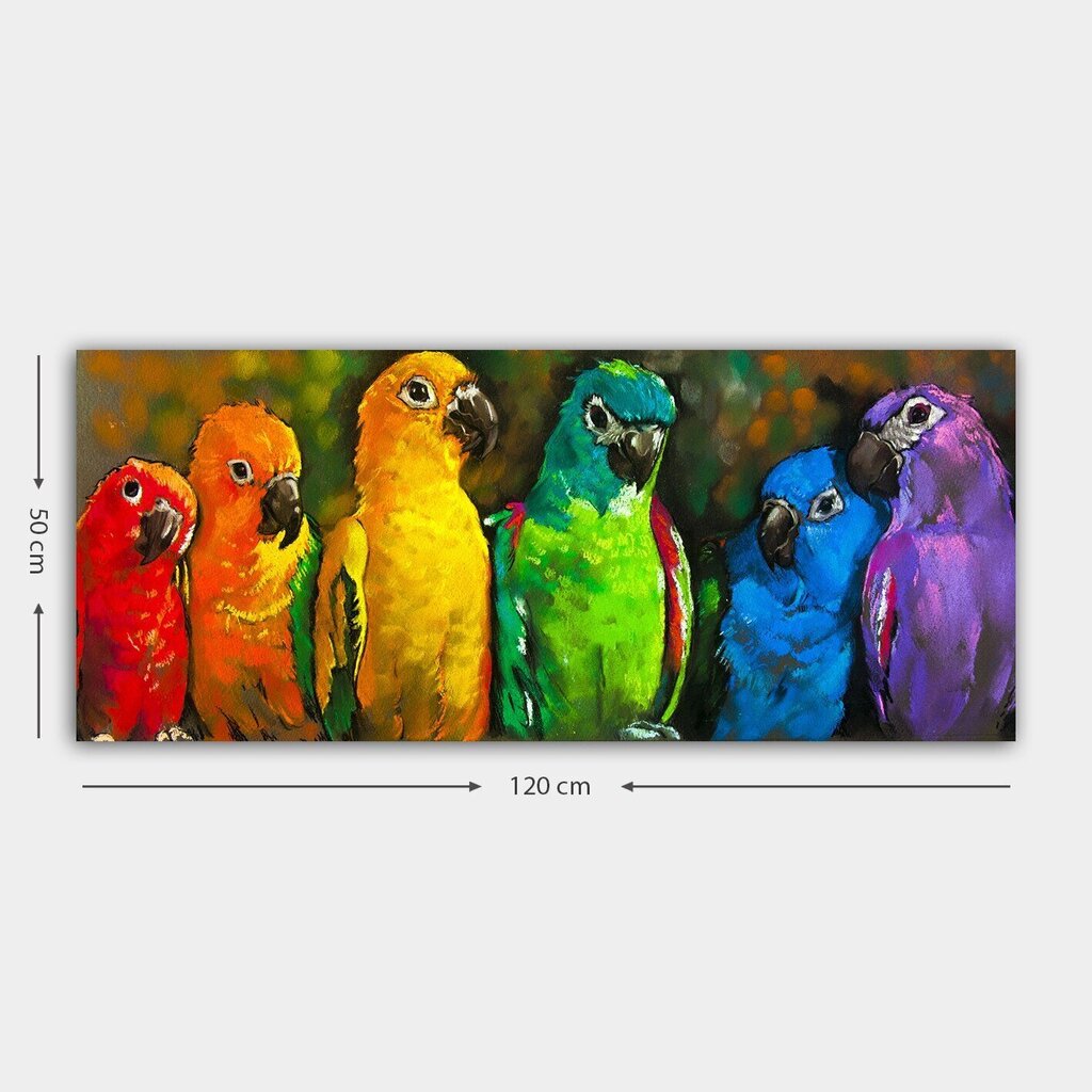 Taulu Papukaijat, 50x120 cm hinta ja tiedot | Taulut | hobbyhall.fi