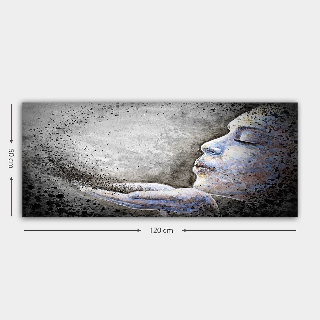 Taulu Dream, 50x120 cm hinta ja tiedot | Taulut | hobbyhall.fi