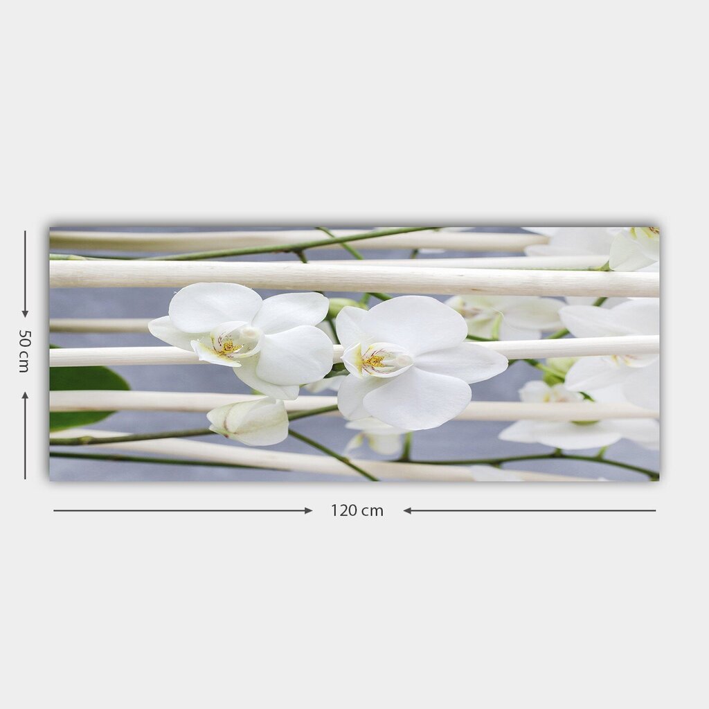 Taulu kankaalla Orkideat, 50x120 cm hinta ja tiedot | Taulut | hobbyhall.fi