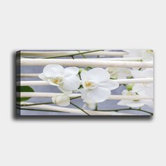 Taulu kankaalla Orkideat, 50x120 cm hinta ja tiedot | Taulut | hobbyhall.fi