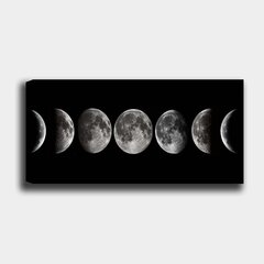 Kuva kankaalle Kuu, 30x80 cm hinta ja tiedot | Taulut | hobbyhall.fi