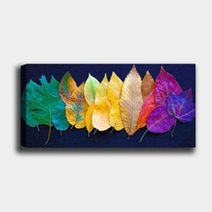 Taulu Arkkia, 30x80 cm hinta ja tiedot | Taulut | hobbyhall.fi