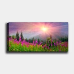 Taulu Maisema, 30x80 cm hinta ja tiedot | Taulut | hobbyhall.fi