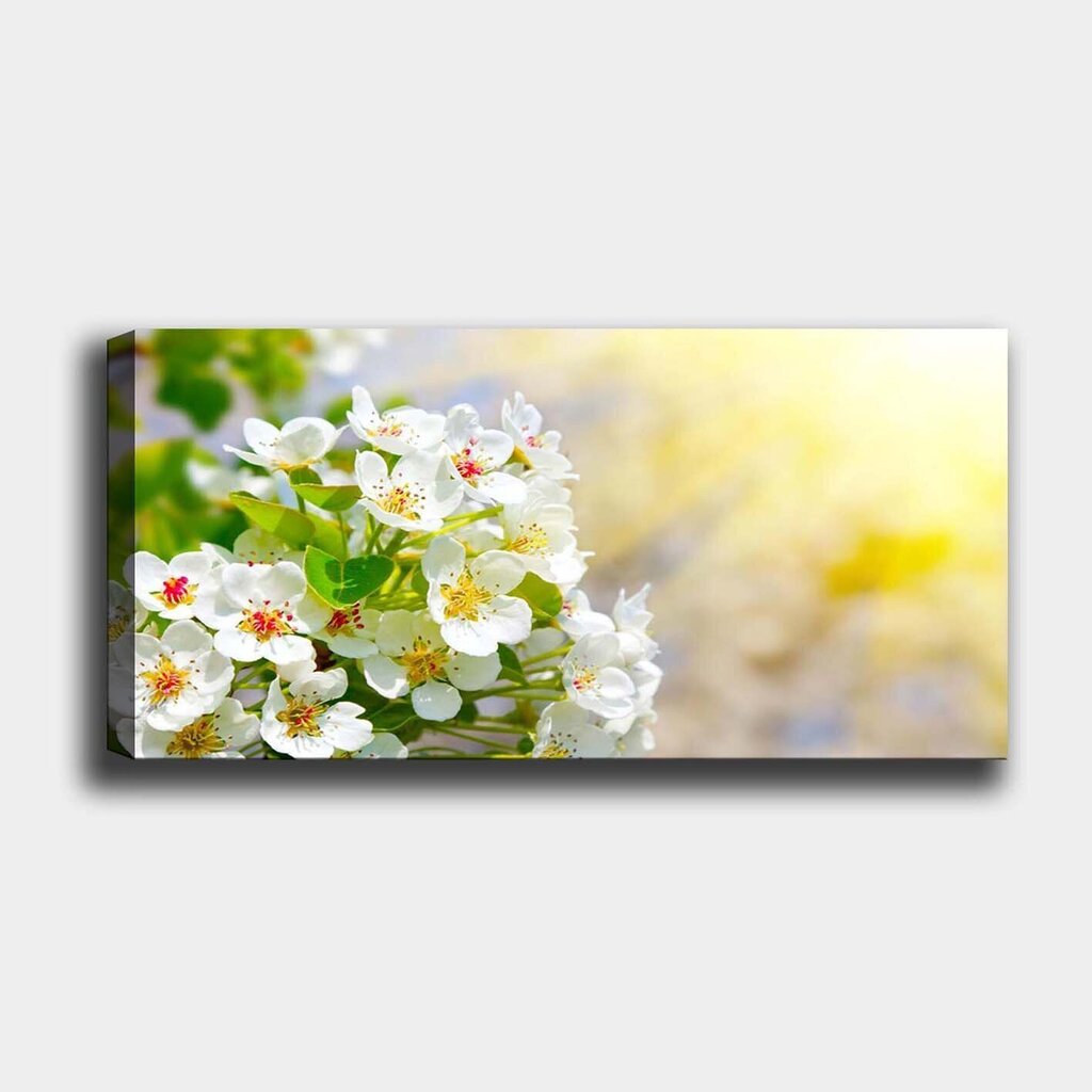 Taulu Kukat, 30x80 cm hinta ja tiedot | Taulut | hobbyhall.fi