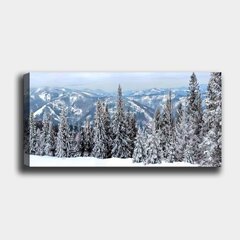 Taulu Talvi, 30x80 cm hinta ja tiedot | Taulut | hobbyhall.fi