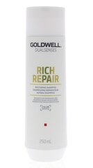 Shampoo vaurioituneille hiuksille Goldwell Rich Repair Restoring Shampoo 250ml hinta ja tiedot | Goldwell Hajuvedet ja kosmetiikka | hobbyhall.fi