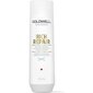 Shampoo vaurioituneille hiuksille Goldwell Rich Repair Restoring Shampoo 250ml hinta ja tiedot | Shampoot | hobbyhall.fi