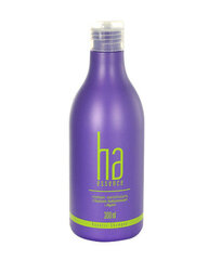 Stapiz Ha Essence Aquatic Revitalising Shampoo shampoo 300 ml hinta ja tiedot | STAPIZ PROFESSIONAL Hajuvedet ja kosmetiikka | hobbyhall.fi