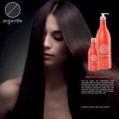 Stapiz Argan De Moist & Care shampoo 300 ml hinta ja tiedot | Shampoot | hobbyhall.fi